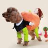 Poochy Pumpkin Halloweenský outfit